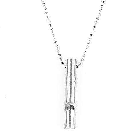 Dilwe Trillerpfeife, Laut Edelstahl Signalpfeife, Wanderpfeife mit Metallkette, for Outdoor, Camping, Training
