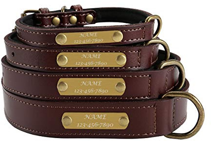 Mogokoyo Personalisierte gepolstert Hundehalsband aus Weichem Vollrindleder Retro Welpenhalsband mit Name/Telefonnummer Gravur für Haustier Pet (XL für Halsumfang 44-54cm)