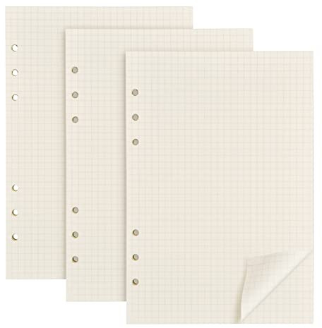 Pinsheng 3 Packungen A5 Nachfüllpapier A5 Papier Kariert A5 Papier Gepunktet Nachfüllbare Refill Paper Nachfüllbar Notizpapier 135 Blätter 6 Löcher Nachfülleinlagen Loose Notizpapier(Kariert)