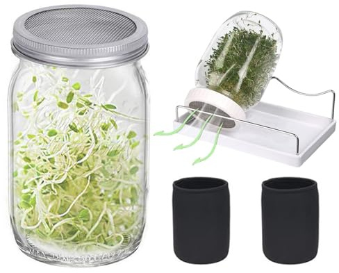 Kit De Jarro De Brote 2pcs 950ml - Semillas De Interior Sprouter Set Para Cultivo De Frijoles De Alfalfa De Brócoli Orgánico | Accesorios De Cocina Para Brote De Semillas | Frascos De Vidrio Fáciles D