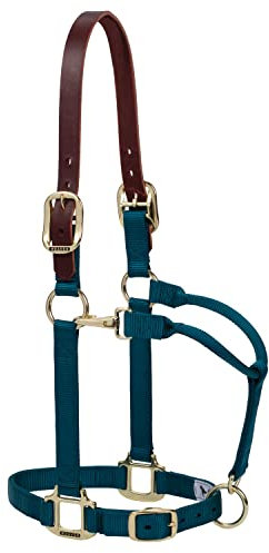 Weaver Leather Unisex-Erwachsene 2,5 cm Breakwy Orig ADJ SM HLTR, TE Nylonhalfter, Petrol, Small Horse