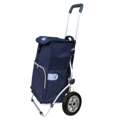 Trolley per la spesa 25 centimetri Grandi Ruote Trolley Carrello Spesa Spesa Pieghevole Carrello Portapacchi Trolley Borsa di Immagazzinaggio per Esterni Carring Resistente