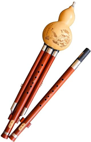 Hulusi Bambus-Kürbis-Cucurbit-Flöte, professionelle Rotholz-Doppelton-Hulusi-Flöte, F+G-Schlüssel/Bb+C-Schlüssel/Moll-D+C-Taste mit chinesischem Knoten, Instrumentenbox (F+G-Taste)