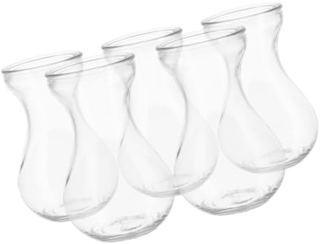 UKCOCO Jarrón De Cristal Transparente para Arreglos Hidropónicos Pequeños, Vidrio Duradero, Set De 5 Unidades, Adecuado para Oficina, Hogar y Decoración Jacintos