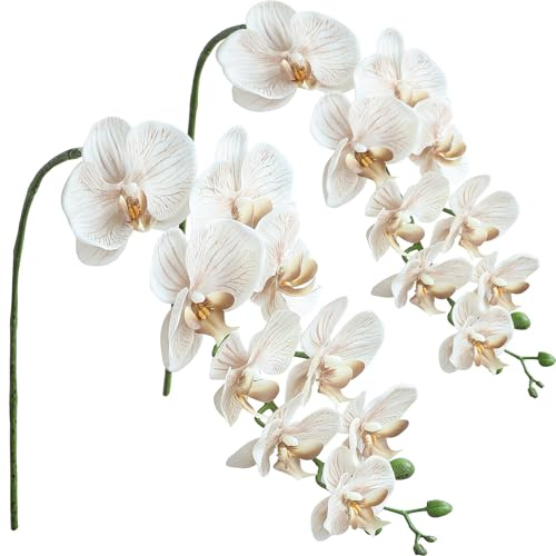 Floroom 2pcs Faux Phalaenopsis Orchid Fake Artificial Flower with Stems, Real Touch Large Blooms 40 Inch for DIY Bouquets, Wedding Centerpieces & Home Decor, Warm Beige