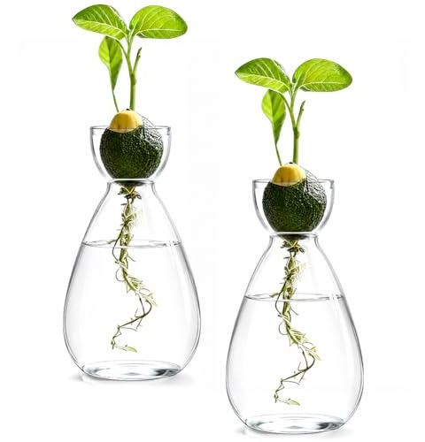 Qnbonrich Hydroponics Plants Terrarium, Pack of 2, Hydroponic Plant Growing Station, Avocado Seeds Starter Vase, for Plant Lovers, Home Office Table Decoration, Water Plants or Flowers