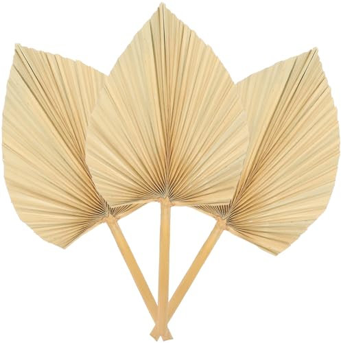 TOPBATHY Hojas De Palma Secas Decorativas, 3 Piezas De Abanico De Palma para DecoracióN De Bodas, Fiestas TemáTicas, Habitaciones Y Eventos Especiales