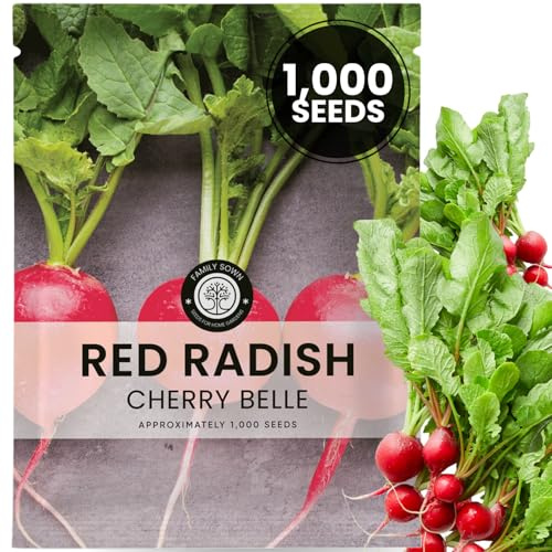 Red Radish Cherry Belle – 1,000 Premium Seeds for Planting – Crisp, Vibrant, Fast-Growing Roots for the 2026 Season – 10 Gram Pouch