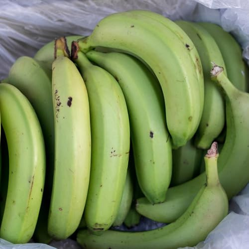 Semi di banana, da giardino per esterni resistenti per il giardino comprare vecchie varietà banana semi frutto colonnare 100pcs