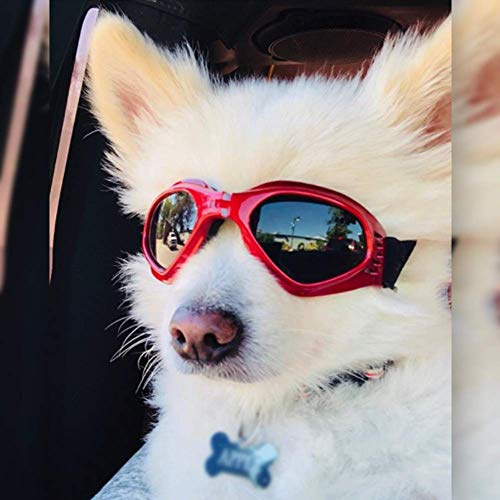 PETLESO Hundebrille Stilvolle Haustier Sonnenbrille Anti-Beschlag Wasserdicht Winddicht Augenschutz Anti-UV Schutzbrille für Kleine/Mittelgroße Hunde, Rot