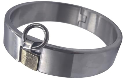Soarvlorfy Sex Halsreif Halsband Edelstahl Collar Abschließbare Halsbänder BDSM Slave Sex Toys für Männer Frauen Neck Kragen Bondage Erotische Halsfessel Fetisch Cosplay Sexspiele,Silber,Ø 13.6cm