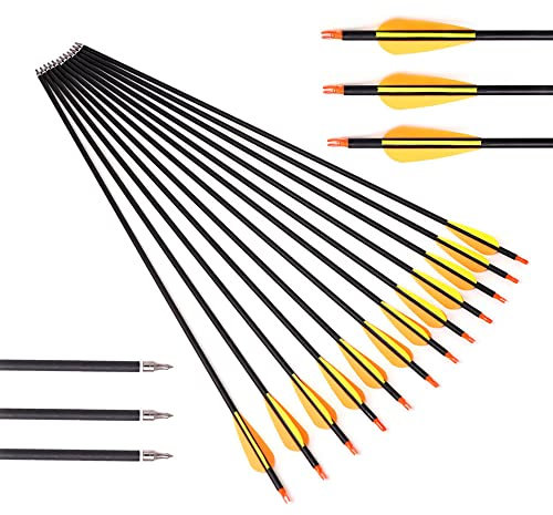 ACCMOS Ohne Logo Bogensport Carbonpfeil Spine 500 ID 6,2 mm 26 Zoll Jagdpfeile OD 7,8 mm 3-Zoll-Vane Feder, für Jugendliche Erwachsene Schießen Üben & Jagd 12 St (orange, 26inch)