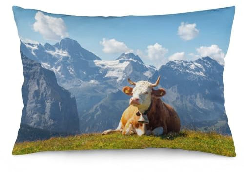 Kissenbezüge, 50 x 35 cm, Braun-Weiß, Schweizer Kuh mit Kuhglocke, Stuhlkissen, Sofakissen, Sitzkissenbezüge, Bett-Kissenbezüge