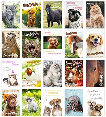 Edition Seidel Set 20 exklusive Premium Geburtstagskarten mit Umschlag. Glückwunschkarte Grusskarte zum Geburtstag. Geburtstagskarte Katzen Hunde Tiere Karten Billet Happy Birthday (SW02)