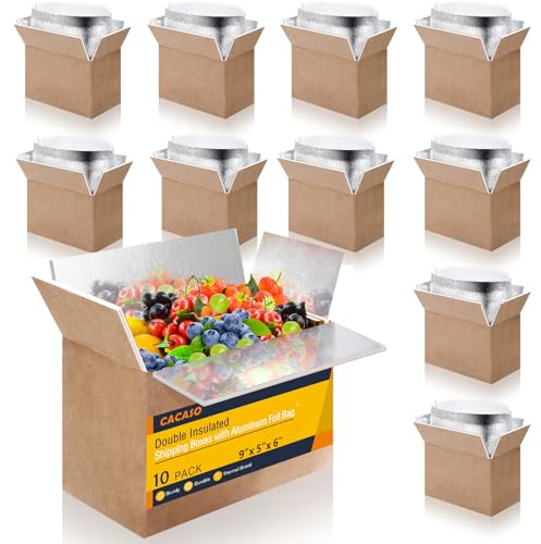 CACASO Double Insulated Shipping Boxes,10 Pack Cold Shipping Boxes with Aluminum Foil Insulated Bag,Small Mailing Box Styrofoam Box for Shipping Frozen Food,Mailing,Packing,Moving,9 x 6 x 5