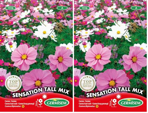 Germisem Sensation Tall Mix Semillas de Cosmos 2 g (EC1516) (Paquete de 2)