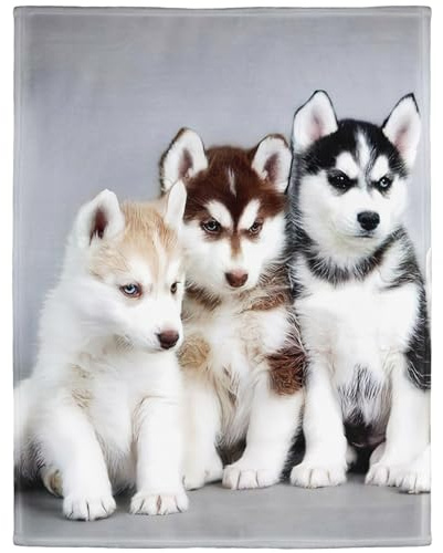 YISUMEI - 150 x 200 cm Decke - Siberian Husky Puppies Dogs Haustiere Fleecedecke,Kaschmir-Gefühl Kuscheldecke Geeignet für Bett oder Sofa