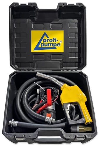 Bomba diésel Bomba de gasóleo para calefacción de 12 V, juego de maletas Biodiesel Diesel Star 160-2, bomba de barril eléctrica, bomba de combustible con manguera, pistola de boquilla automática