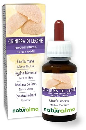 Criniera di leone o Testa di scimmia (Hericium erinaceus) fungo Tintura Madre analcoolica Naturalma - Estratto liquido gocce 60 ml - Integratore alimentare - Vegano