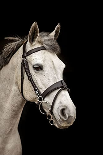 Equipride Working Hunter Bridle with Quick Release Snap Hooks Removable Flash (Cob, Black)