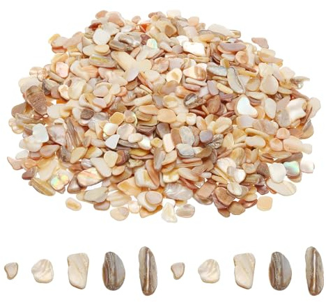 sourcing map 500g Zerkleinerte Muscheln, unregelmäßige natürliche Mosaik-Muschel-Fragmente für Heimdekoration, Kunsthandwerk, DIY-Projekte, Beige