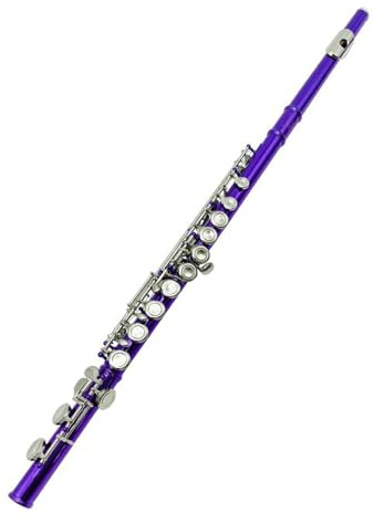 Querflöte Instrument Bunte 16-Loch-Flöte Mit Geschlossenen Löchern C-Tonart E-Tonart Flöte Für Anfänger Für Professionellen Üben(A)