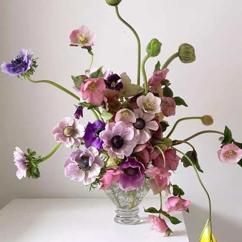 semi di anemone, giardino rocciose resistenti, giardino, balcone esotiche resistenti e decorativi 10pcs