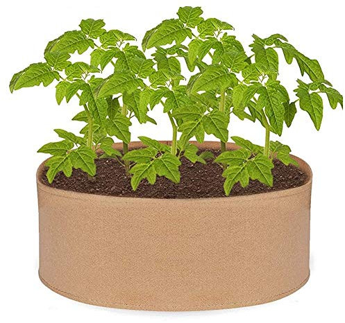 Chillers Grandi Borse in Crescita, Letto da Giardino alzato Rotondo Pesante, piantando Borse per piantare Piante di Verdure Piante di Erba Fiore 16/05/30/50/50/100/110 gallone