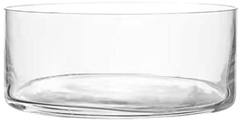 Artibetter Large Glass Vase Bowl Terrarium Succulent Planter: Flower Glass Vase Air Plant Display Decorative Centerpiece Floral Container Fish Bowl for Home Wedding 15x15cm Glass Containers