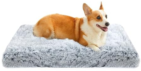 Coussin pour Chien 75 x 50 cm, Matelas Lavable pour Chiens Jusqu'à 17 kg