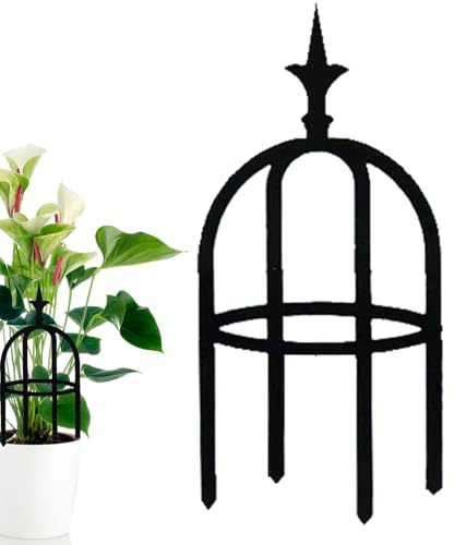 Vine Trellis - Trellis da giardino in metallo, traliccio da giardino verticale | Immagini Facile da installare Obelisco decorativo da giardino per viti da arrampicata Struttura del vegetale Clematis