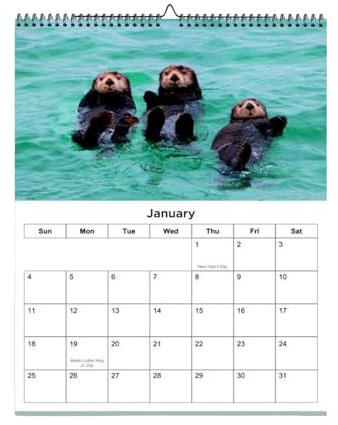 2026 Väggkalender – djurkalender 2026 januari till december | 12 månadsplanerare | tjockt papper söta vilda djur – konstverk arrangör | årsplanerare med tjock papperskontorsskola klassrumsdekoration