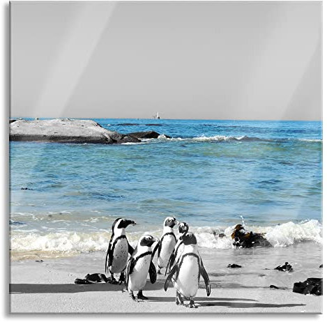 Pixxprint Glasbild, Wandbild auf Echtglas, lustige Pinguine am Strand, 50x50 cm, inkl. Aufhängung und Abstandshalter