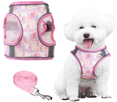 PawSailor No-Pull-Hundegeschirr Leine-Set, Step-In-Blumendruck, Verstellbares, Atmungsaktives Netz-Haustiergeschirr, Reflektierendes, Weich Gepolstertes Westengeschirr Für Kleine Hunde, Rosa, XXS