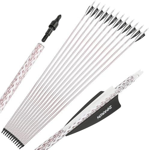 limaity 30 Zoll Carbon Pfeil Bogenschießen Targeting Jagdpfeile Spine 500 mit abnehmbaren Spitzen Jagdpfeile für Compound & Recurve & Langbogen (6, TYP 1)