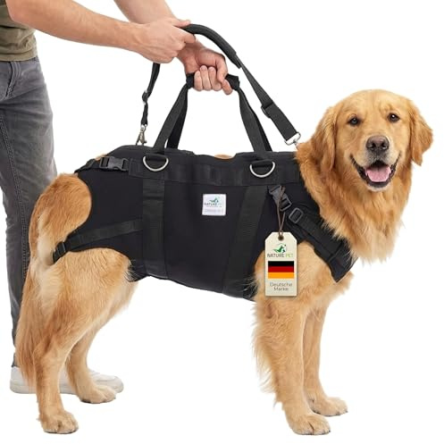 NATURE PET Hunde TRAGEHILFE GANZKÖRPER – Tragehilfe für Hund in Groß mit gepolstertem Hundetragegurt aus 4mm Neopren – Hebegeschirr für Reha, Treppen & Auto – verstellbar & stabil – Größe M
