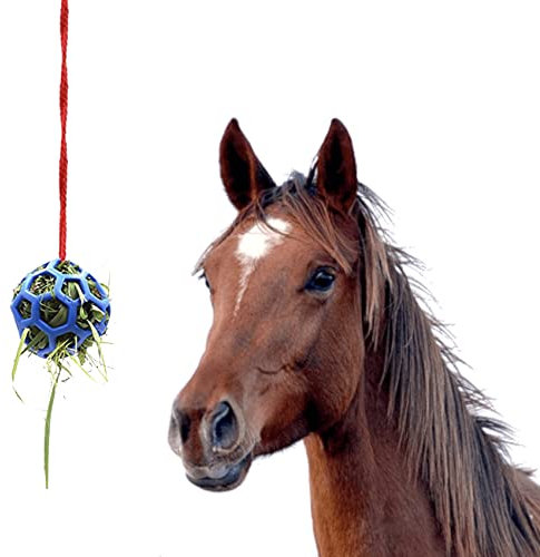 Pferdespielzeug, Darryy Spielzeug für Pferde Gegen Langeweile, Pferde Beschäftigung Box, Leckerli Ball Blauer, Futterball für Ziegen, Heu Slow Feeder, Heu Futterspender für Pferd, Ziegen, Schafe