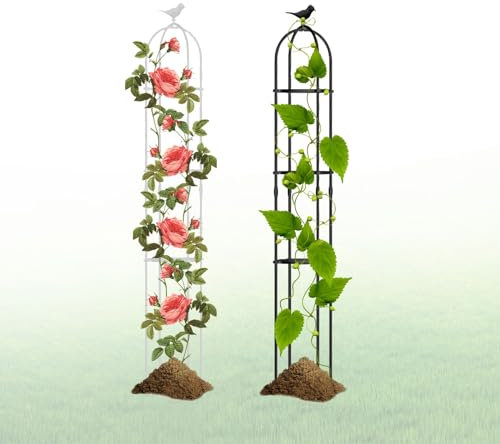 1 Pz Traliccio da Giardino Obelischi per Rampicanti Obelisco in Metallo Φ21-35cm Grigliato a Colonna Torre da Giardino Base per Piante in Vaso (Color : Black, Size : 31x180cm(12.2x71in))