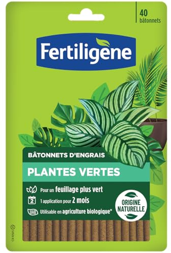 Fertiligène Bâtonnets d'engrais Plantes Vertes 40 bâtonnets