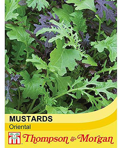 Salad Leaves Oriental Mustards 1 Packet (400 Seeds) – Thompson and Morgan