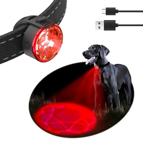 UMIONE PET LIGHT : lumière imperméable pour chien, durable et idéale pour les promenades nocturnes (emballage cadeau), Plastique