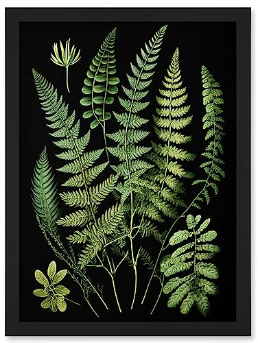 Artery8 Fern Fronds Detailed Leaves Botanical Illustration Artwork Framed Wall Art Print A4