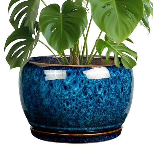 SQOWL Keramik-Blumentopf, 25,4 cm, Keramiktopf mit Ablaufloch und Untertasse, Blau
