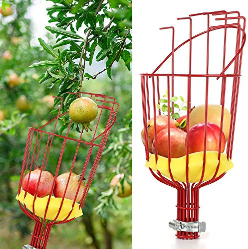 HUIKJI Fruit Picker Basket,Orchard Picking Tool Fruit Harvester Attachment Home Fruit Picker Harvester Basket with Cushion for Apple Pear Peach Harvesting