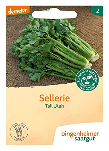 Bingenheimer Saatgut Sellerie - Tall Utah