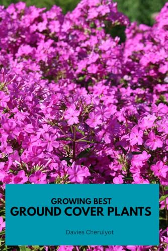 GROWING BEST GROUND COVER PLANTS (Flowers)