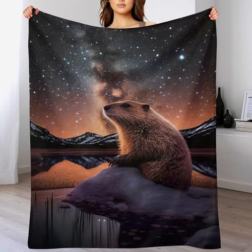 LLLBBB Beaver Blanket Soft Comfortable Warm Blankets Suitable For All Seasons Bed Linen Sofa And Travel Camping Throw 180×200cm