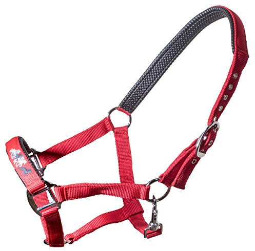 Karlslund Nylon-Halfter, Rot