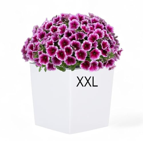 MELTOM XXL Pflanzkübel aus Kunststoff in Hochglanz Farbe: Weiß mit Herausnehmbaren Einsatz, BxTxH in cm: 39 x 39 x 41 cm, Eckig