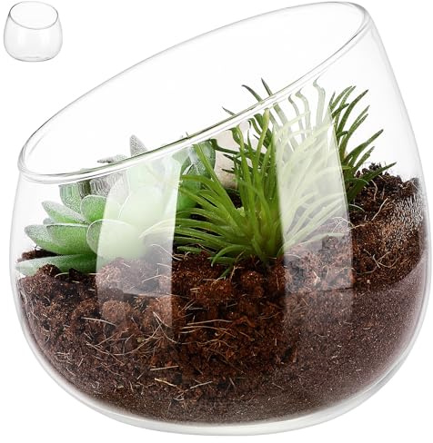 BESTOMZ Maceta Pequeña de Transparente para Plantas Suculentas en Interiores Boca Inclinada, Diseño y Duradero Adecuado para Escritorio, Terrario Decorativo